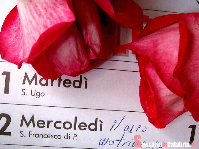 Calendario Matrimonio-Prime Fasi